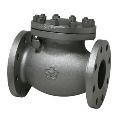 Iron Casting ANSI End Flange Water Non Return Disc Swing Check Valve